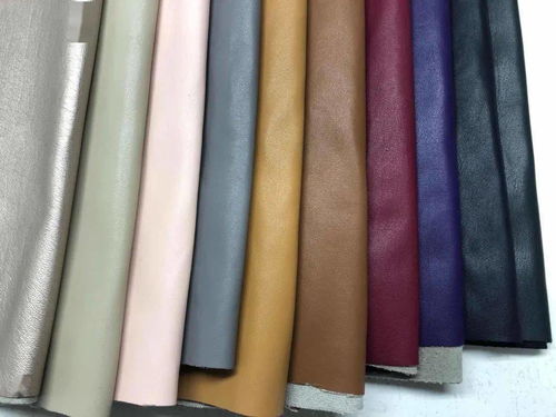 intertextile秋冬面辅料展 内衣面膜料版块兴起，功能升级引领潮流